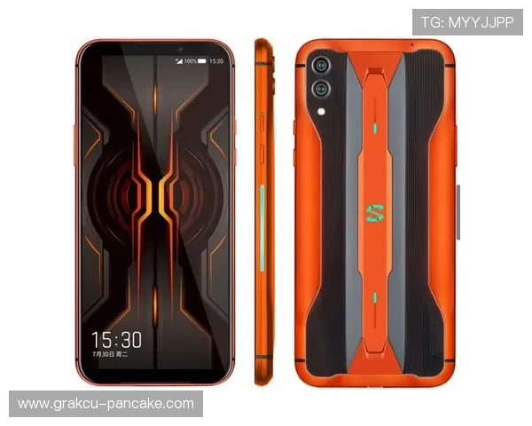 详细介绍K8凯发旗舰厅官网入口的功能特色与优势，提升您的游戏体验感受