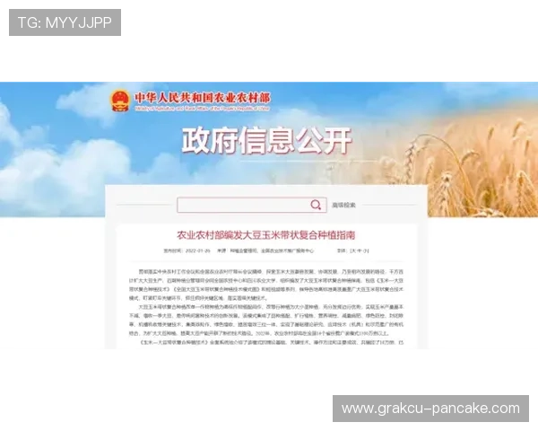 凯发网官网客服支持全天在线,解决您的各种疑问与技术难题