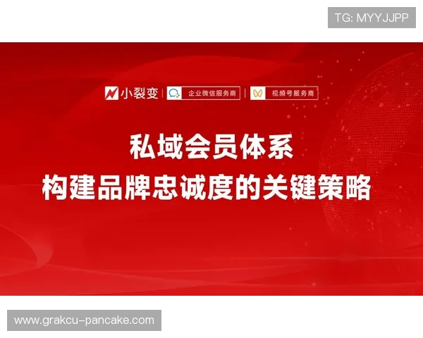 凯发官方网站平台的VIP会员制度及其权益详解提升玩家忠诚度的关键策略